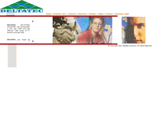 Tablet Screenshot of deltatec.in